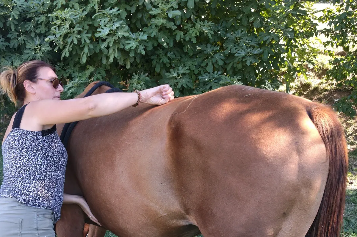 Delphine Rudzinski réalisant un geste manuel de la méthode Niromathé sur le dos d’un cheval